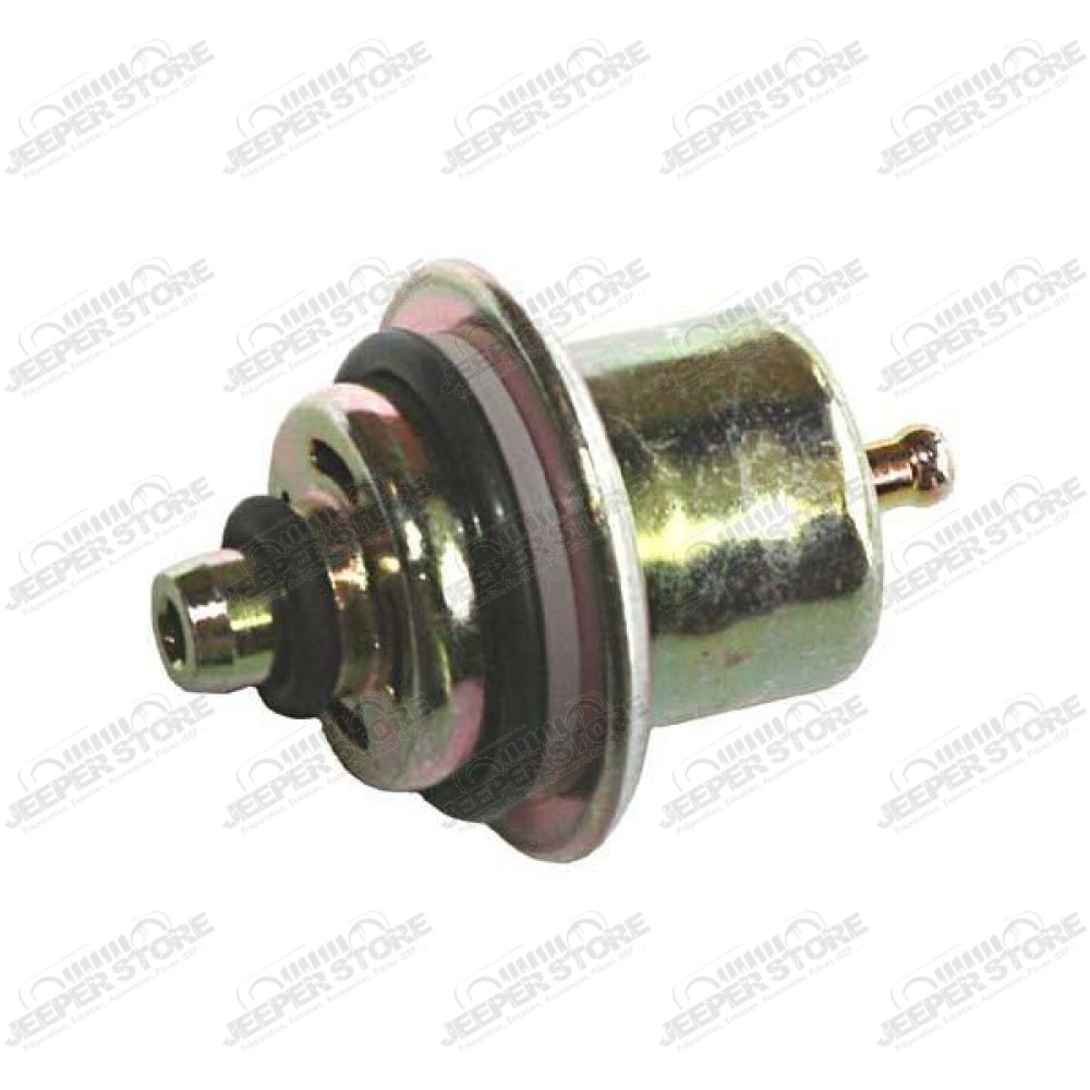 Fuel Injection Pressure Regulator; 91-95 Wrangler YJ, 2.5L/4.0L/5.2L